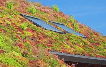 Kilcot living roof systems
